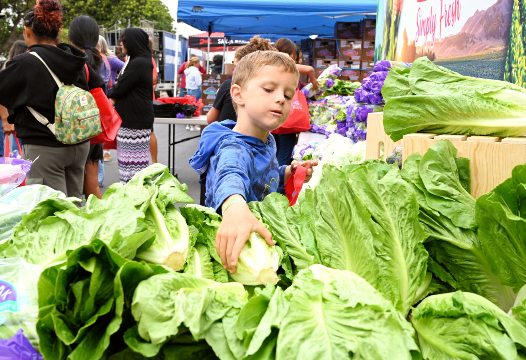 091722-smt-news-farm-day-004